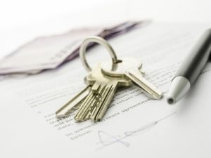 Article on Lawyers Consultants and Real Estate Agents
